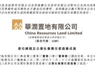 徐荣上任华润置地总裁，“城市更新”政府背景深厚|界面新闻 · 地产